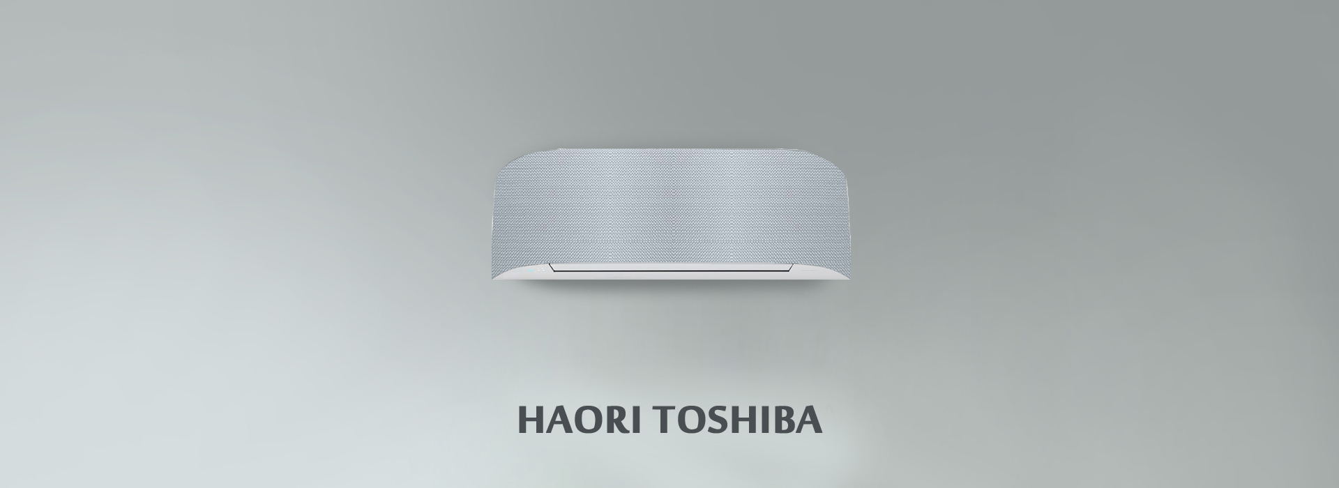 Toshiba-Haori--